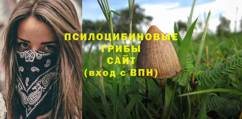 ссылка на мегу как зайти  Балабаново  Псилоцибиновые грибы MAGIC MUSHROOMS 